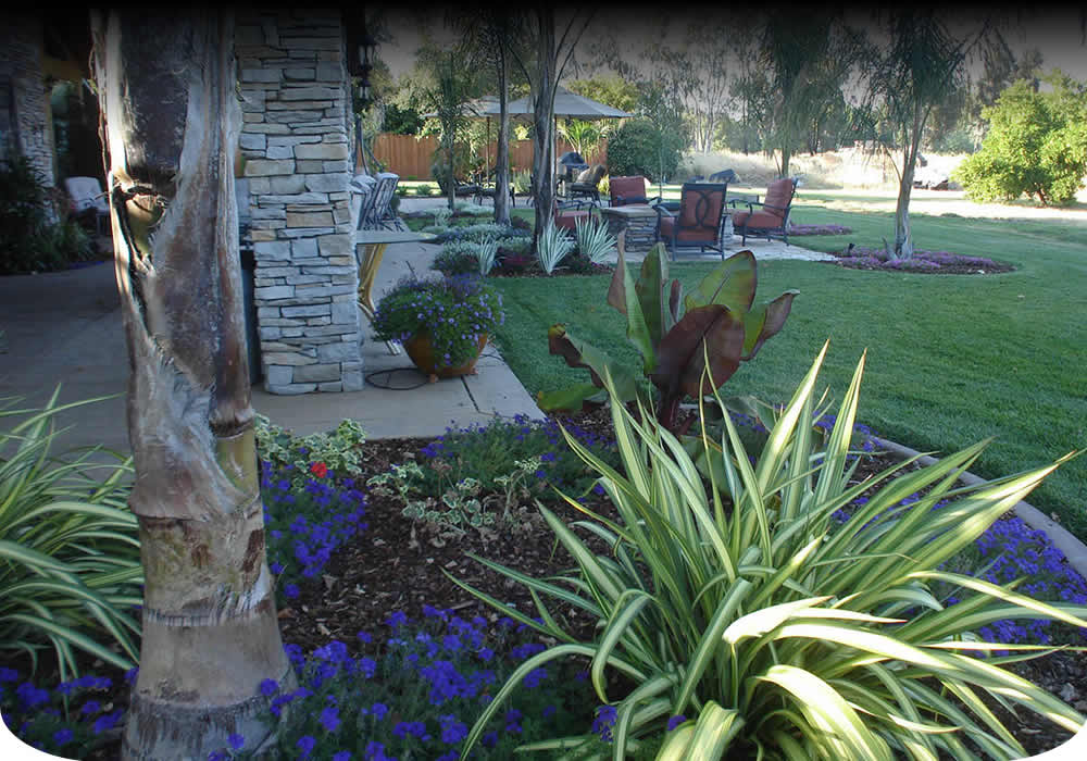 Contact Cheryl Wiegand Landscape Design Sacramento