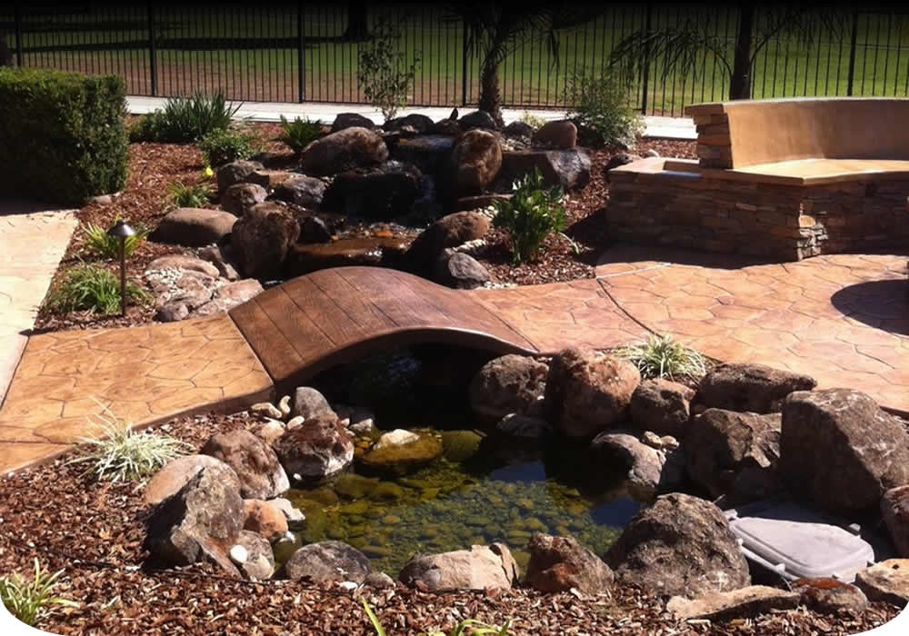 Drought-Tolerant Landscaping Designer