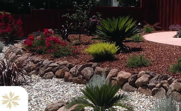 Water-Wise Landscape Design Sacramento